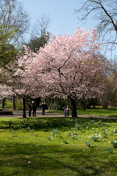 Besuch im Bühenden Barock in Ludwigsburg