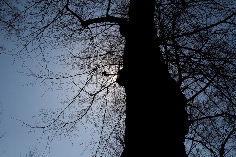 Besuch im Bühenden Barock in Ludwigsburg