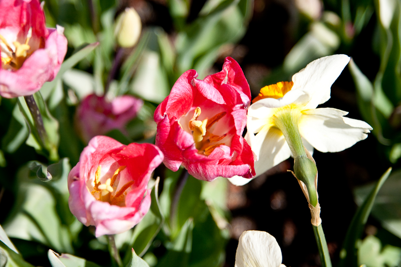 Besuch im Bühenden Barock in Ludwigsburg