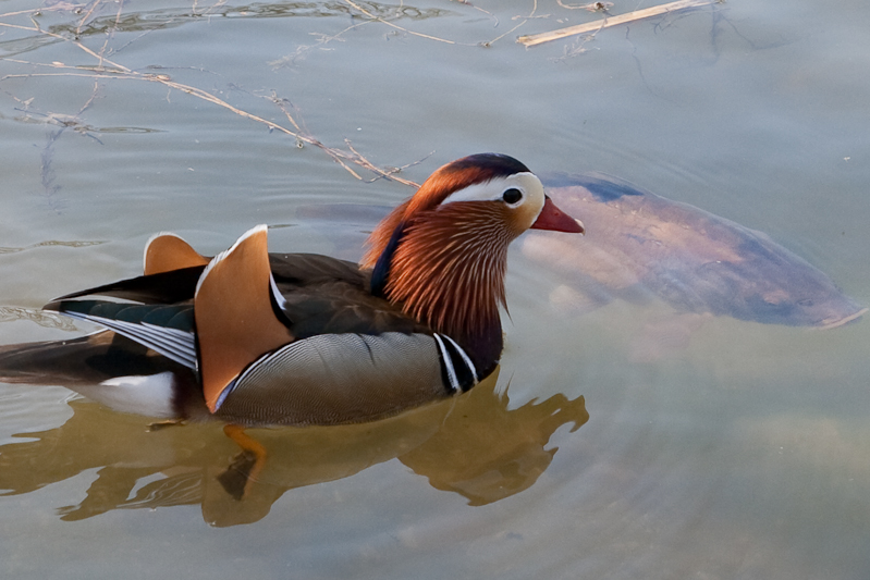 Besuch im Bühenden Barock in Ludwigsburg