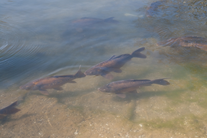 Besuch im Bühenden Barock in Ludwigsburg