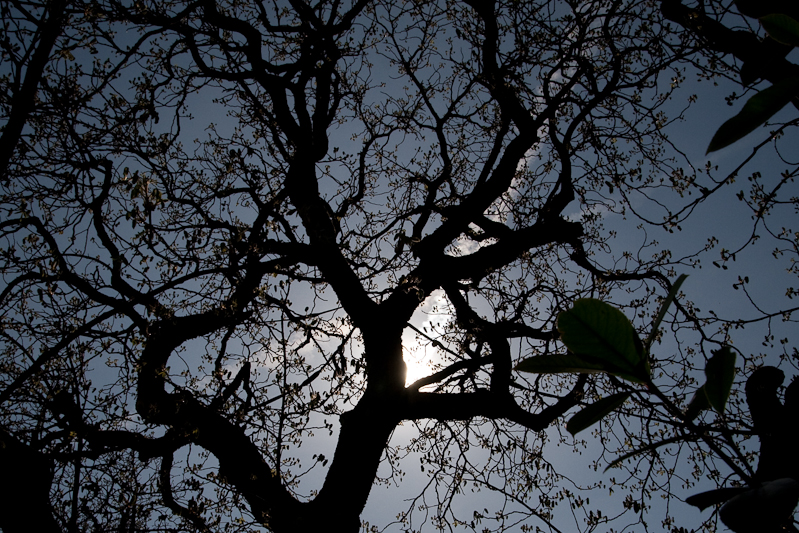 Besuch im Bühenden Barock in Ludwigsburg