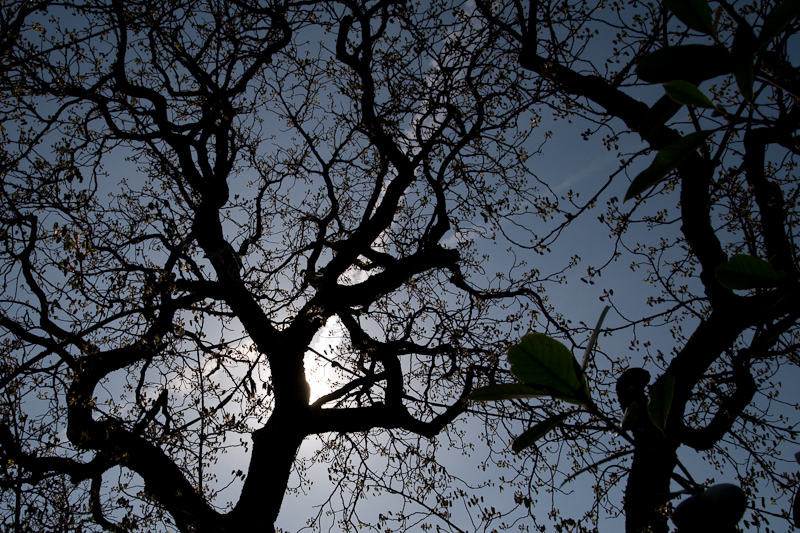 Besuch im Bühenden Barock in Ludwigsburg