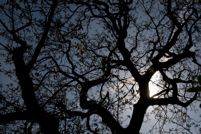 Besuch im Bühenden Barock in Ludwigsburg